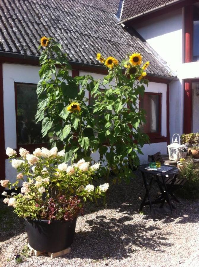 Bed and Breakfast Praestogaard Екстер'єр фото