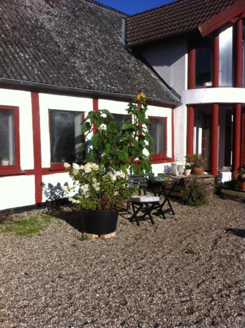 Bed and Breakfast Praestogaard Екстер'єр фото