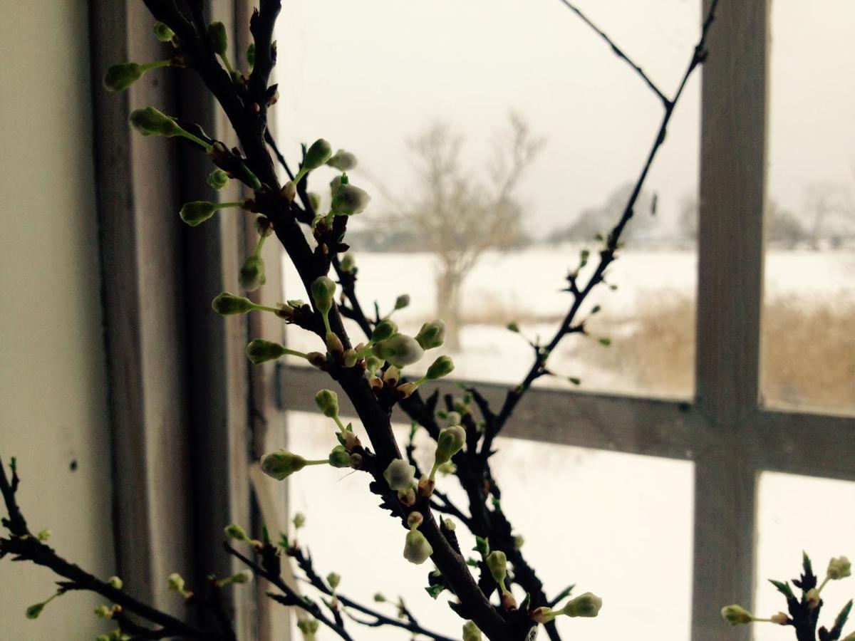 Bed and Breakfast Praestogaard Екстер'єр фото