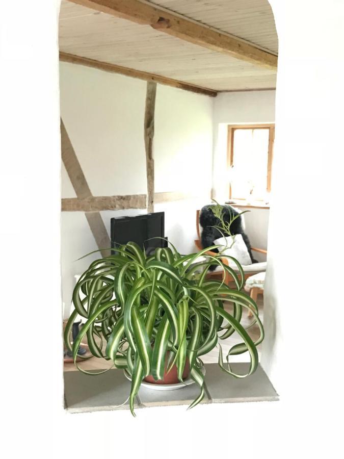 Bed and Breakfast Praestogaard Екстер'єр фото